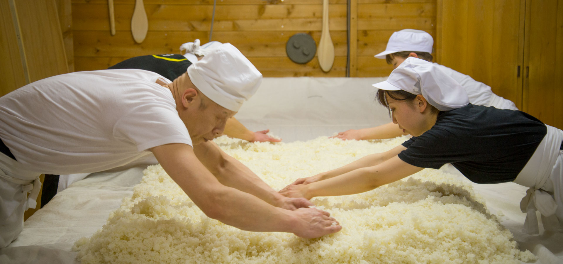 醗酵の旅：日本酒